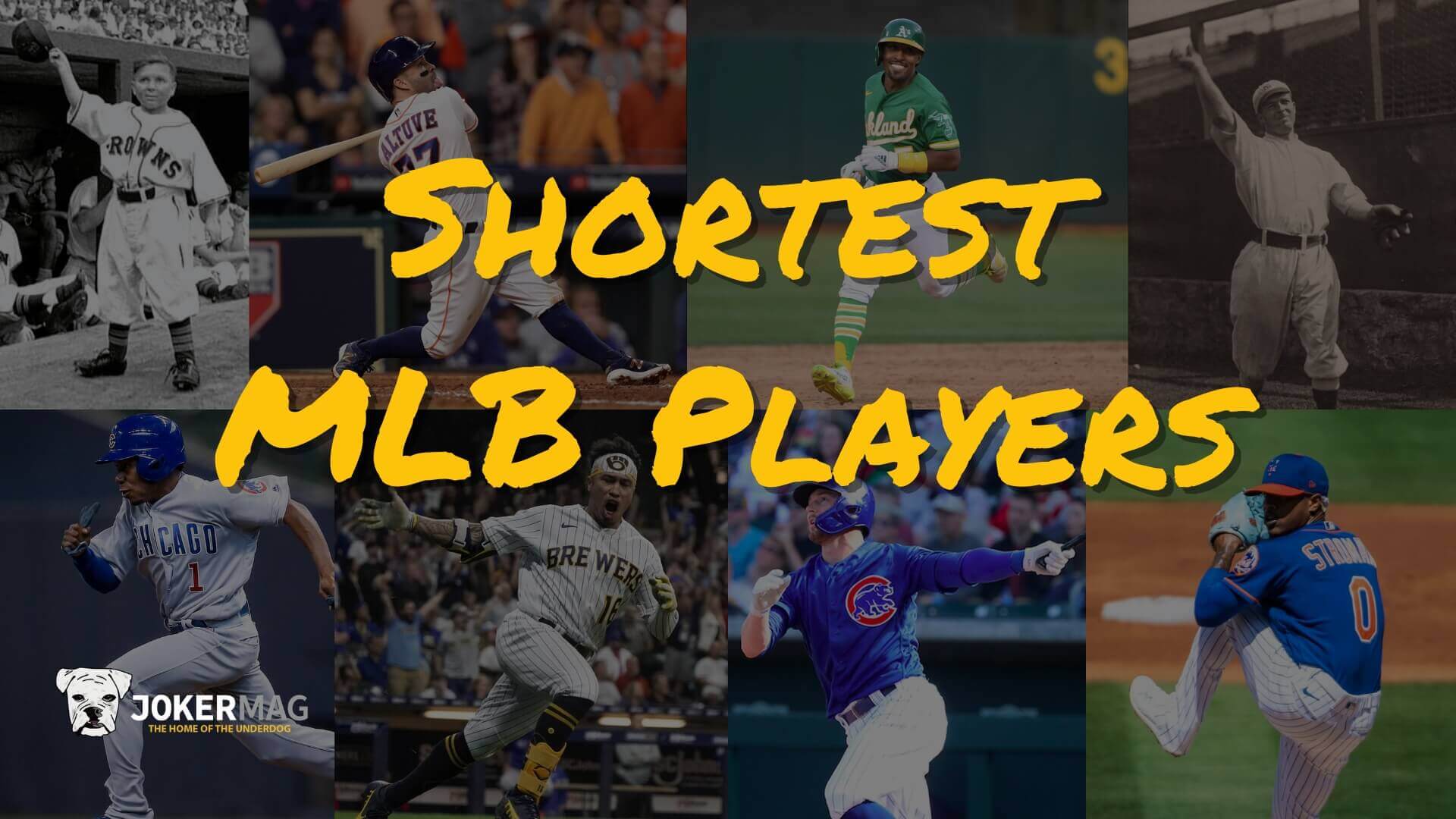 The shortest MLB players in 2021 and throughout baseball history