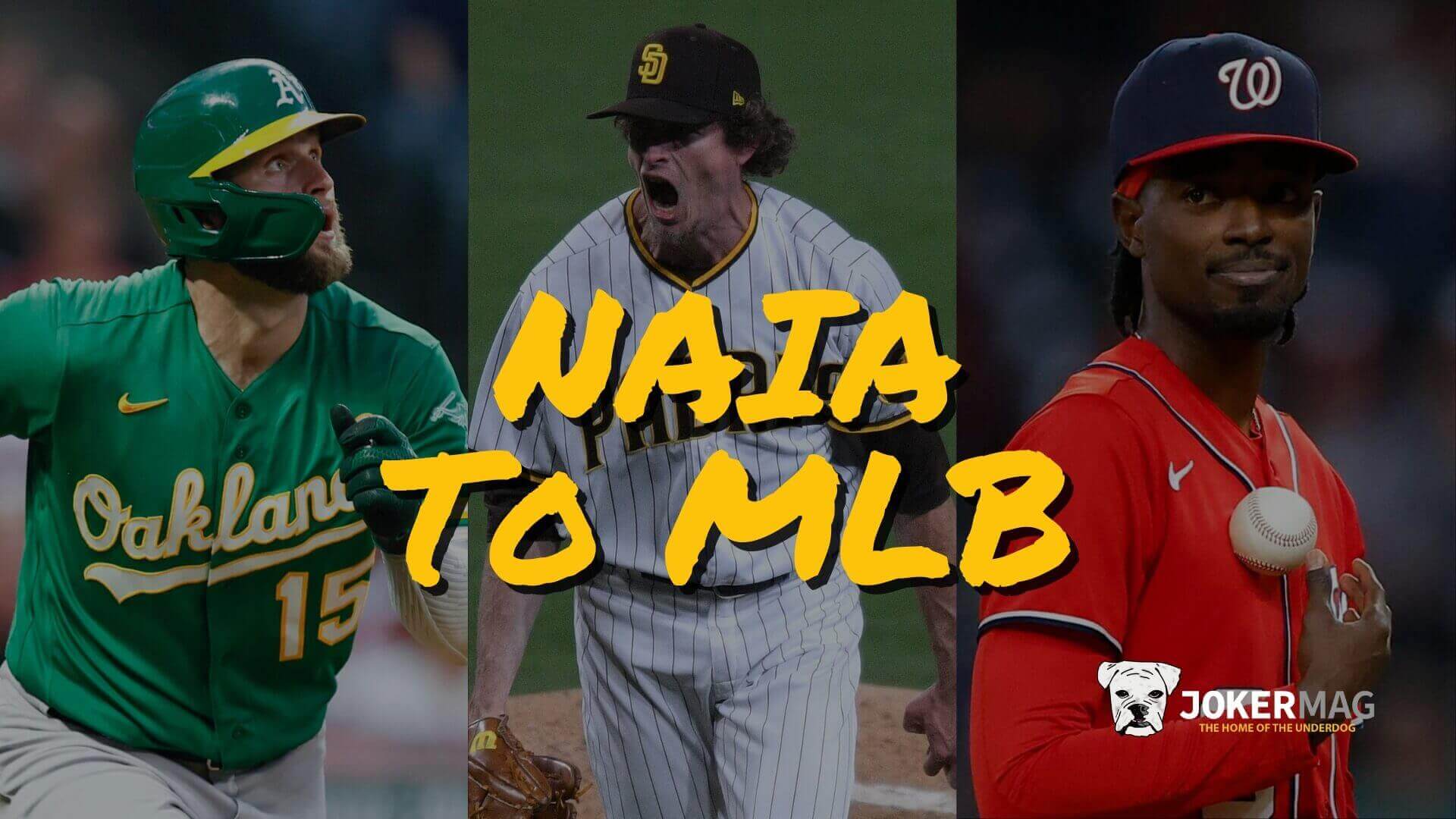 NAIA baseball players who made it to MLB