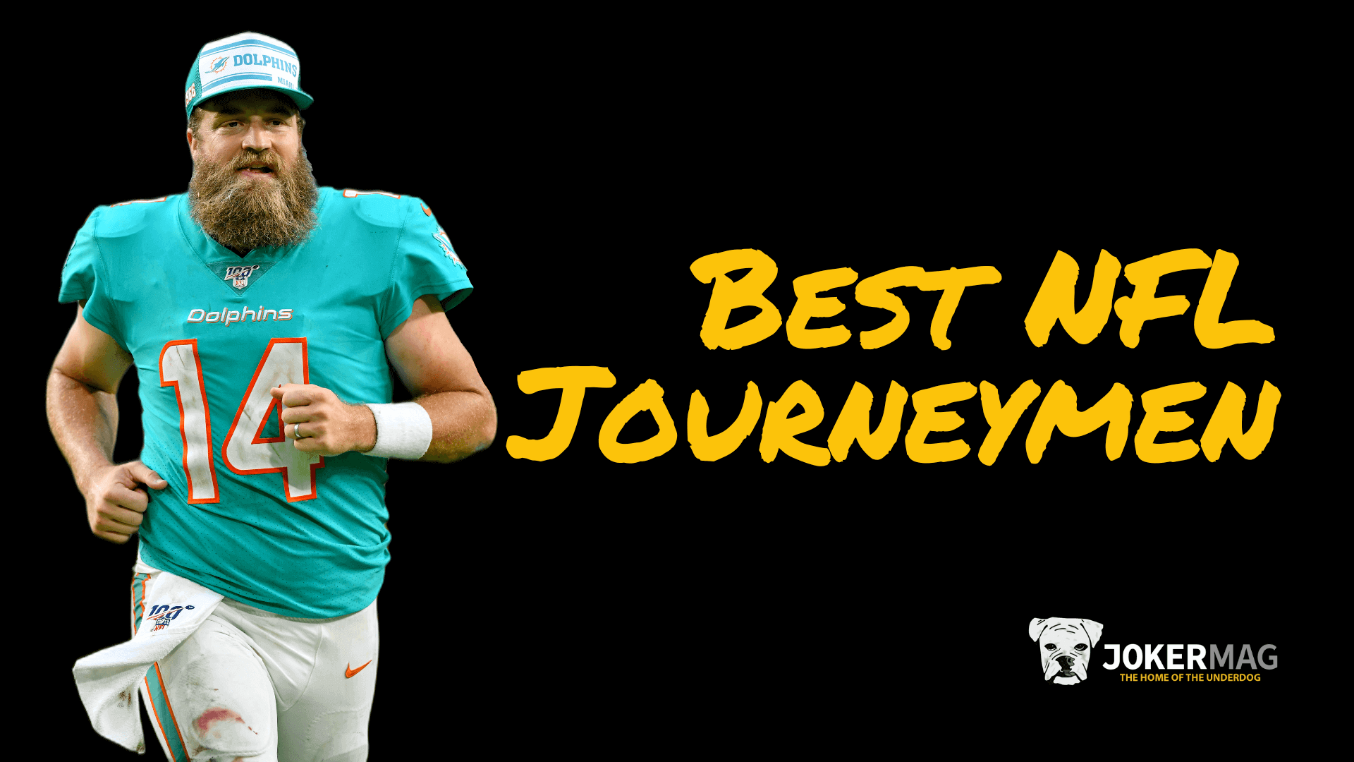 
		Ryan Fitzpatrick and the Best NFL Journeymen in Football History