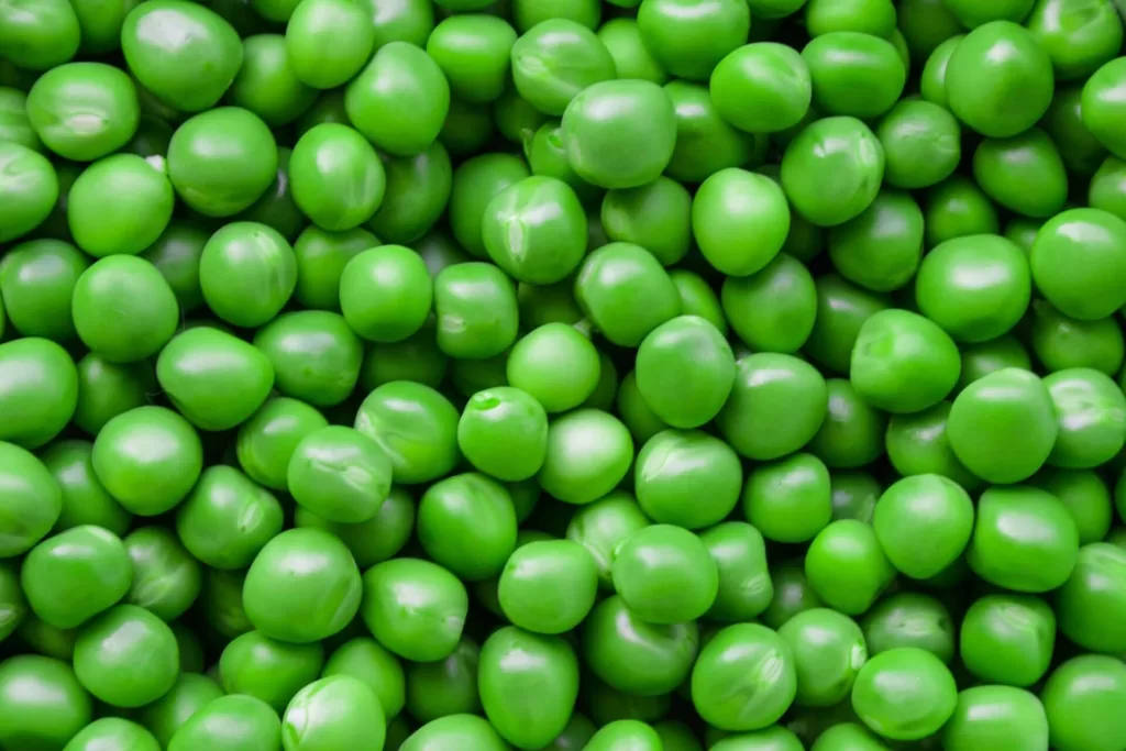A pile of peas to emphasize the importance of the pea hitting drill